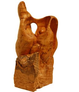 Untitled — Image 1